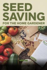 Seed Saving for Beginners: How to Harvest, Store, and Grow True-to-type Seeds From Your Garden Year After Year