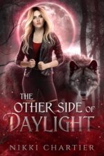 The Other Side of Daylight