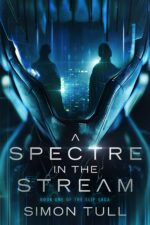 A Spectre in the Stream: Post-apocalyptic Cyberpunk Fantasy Slip Saga Book