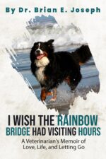 I Wish the Rainbow Bridge Had Visiting Hours: a Veterinarian's Memoir of Love, Life, and Letting Go