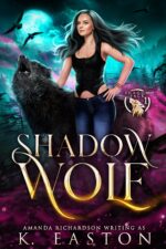 Shadow Wolf: a Rejected Mates Shifter Romance Pack Book