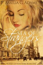 Sea of Strangers of New York Book