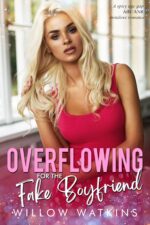 Overflowing for the Fake Boyfriend: a Spicy Age Gap Abf/anr Instalove Romance Creamy