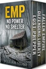 EMP No Power No Shelter