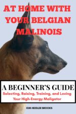 At Home With Your Belgian Malinois a Beginner’s Guide: Selecting, Raising, Training, and Loving Your High-energy Maligator