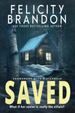 Saved: a Forced Proximity Dark Romance With a Stranger Book
