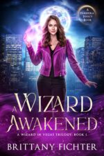 A Wizard Awakened Wizard in Vegas Book